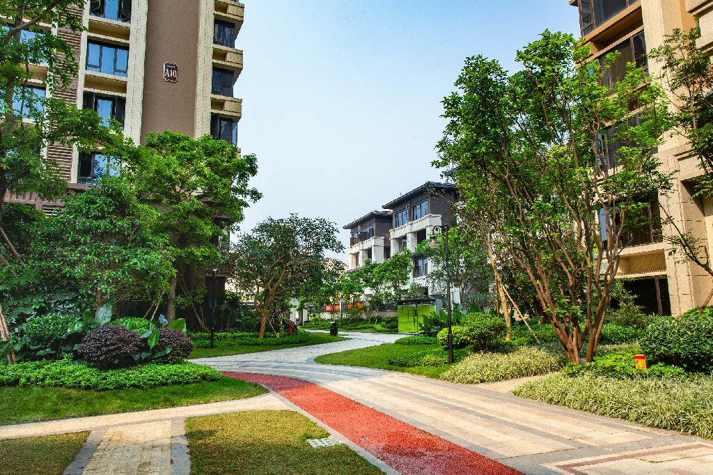 江山御景项目售楼部园林景观绿化工程